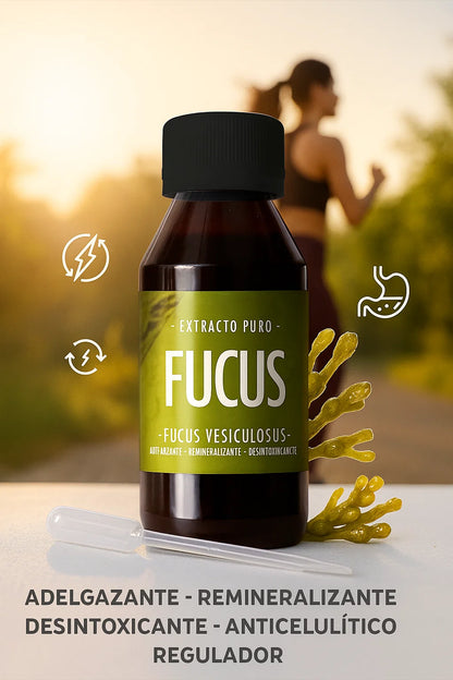 Fucus: Anticelulítico y Remineralizarte de Acción rápida